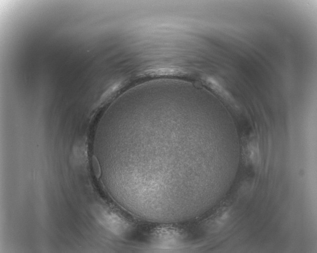 X0000066010207200603101605