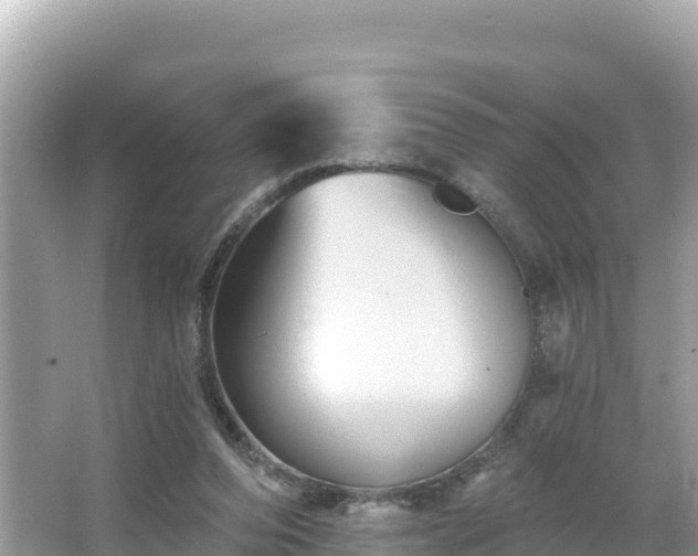 X0000066010208200603101605