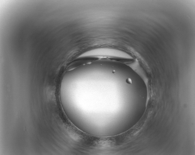 X0000066010209200603101605