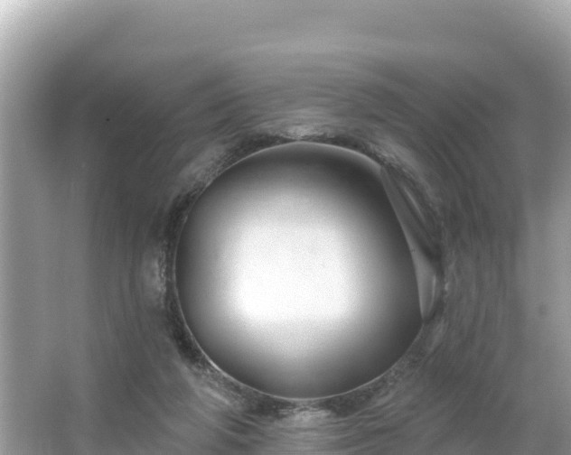 X0000066010210200603101605