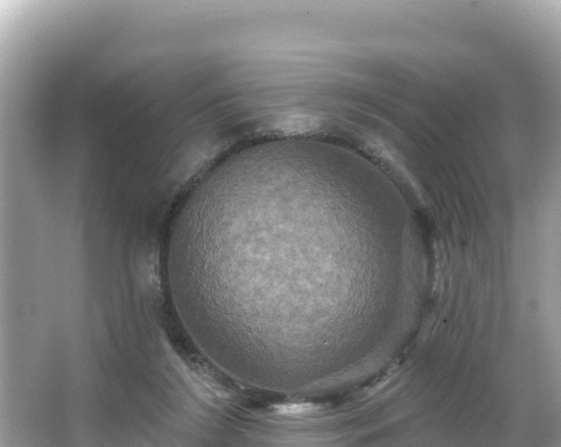 X0000066010212200603101605