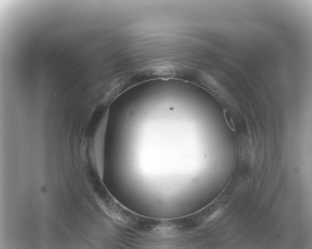 X0000066010213200603101605