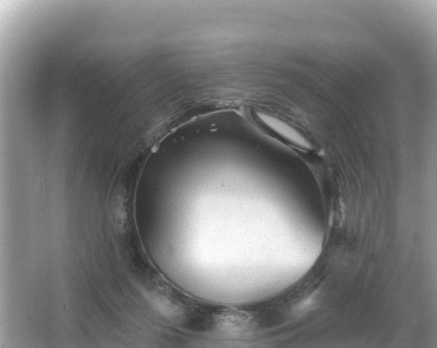 X0000066010215200603101605