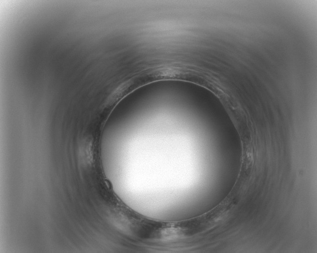 X0000066010216200603101605