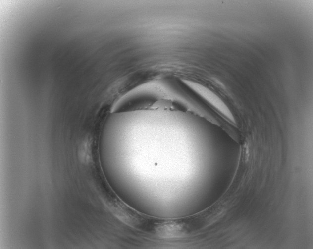 X0000066010217200603101605