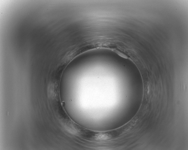 X0000066010218200603101605