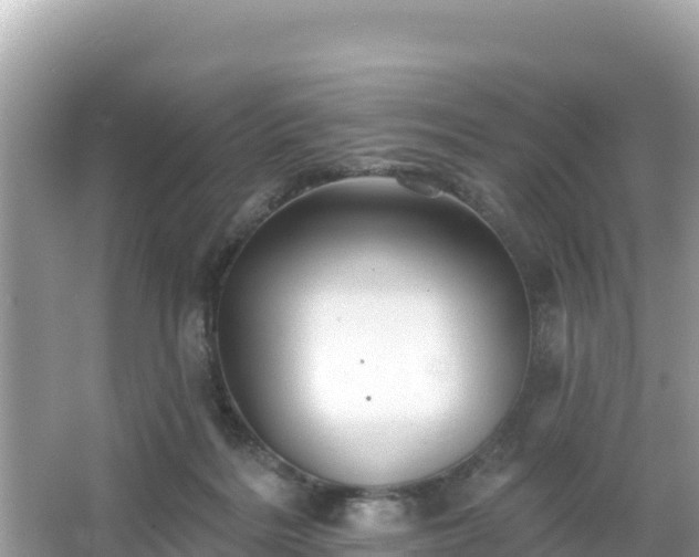 X0000066010220200603101605