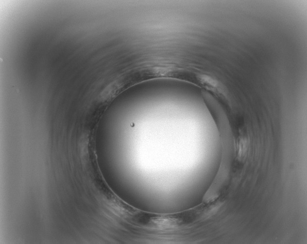 X0000066010221200603101605