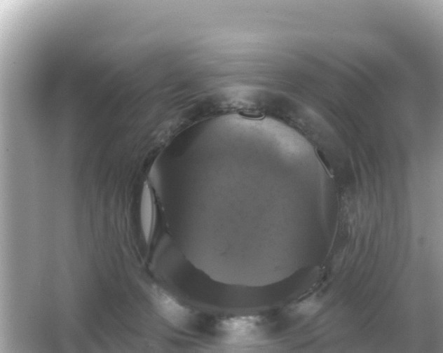 X0000066010223200603101605