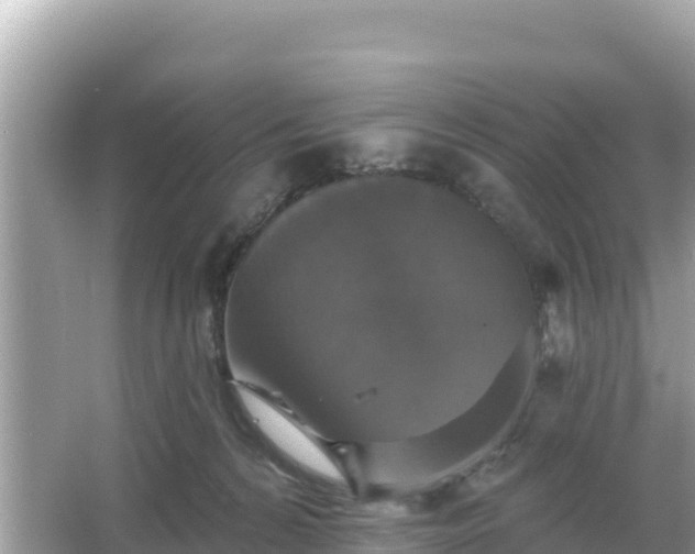 X0000066010224200603101605