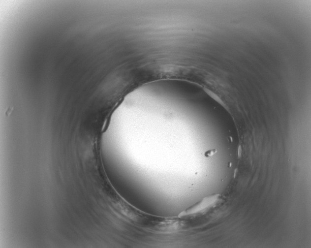 X0000066010225200603101605