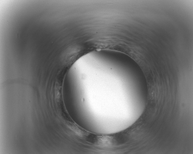 X0000066010226200603101605