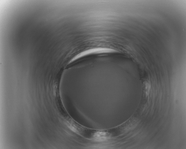 X0000066010227200603101605