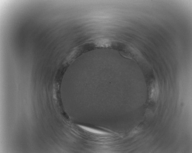 X0000066010229200603101605