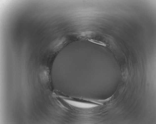 X0000066010231200603101605