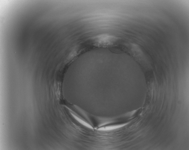 X0000066010232200603101605