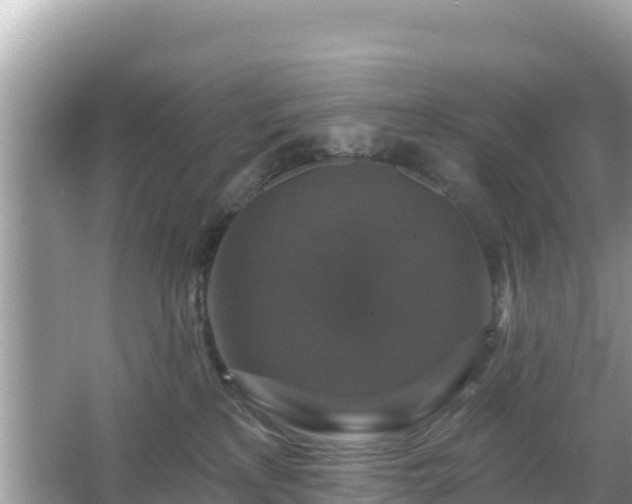 X0000066010233200603101605