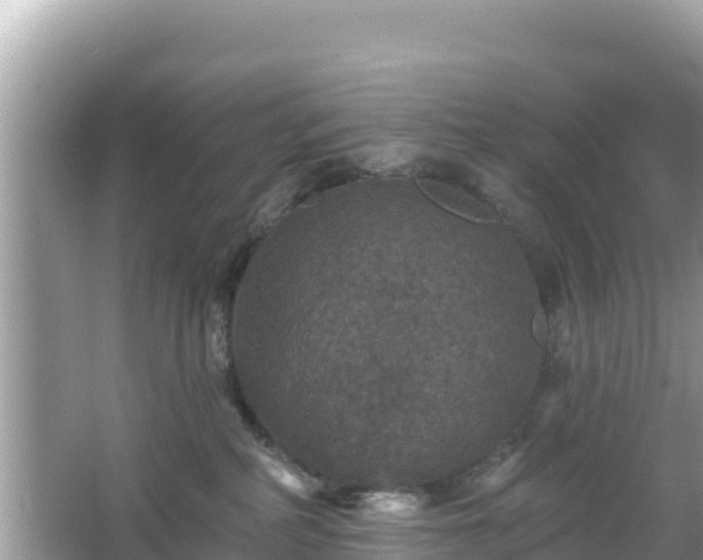 X0000066010234200603101605