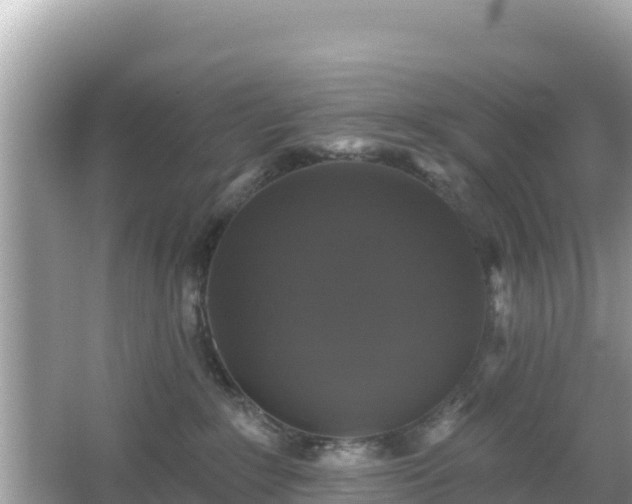 X0000066010235200603101605