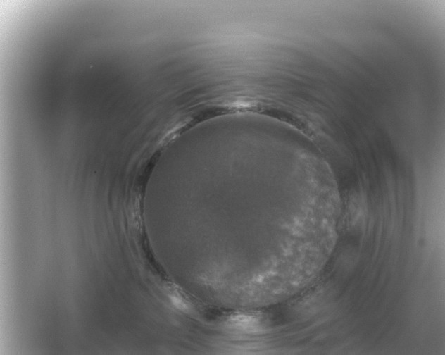 X0000066010236200603101605