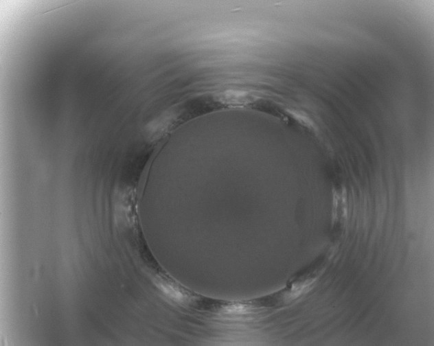 X0000066010237200603101605