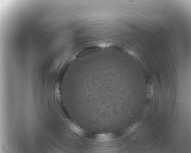 X0000066010238200603101605