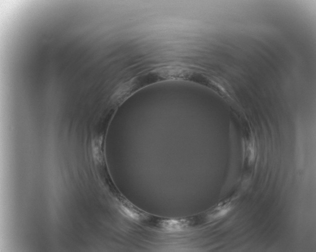 X0000066010239200603101605