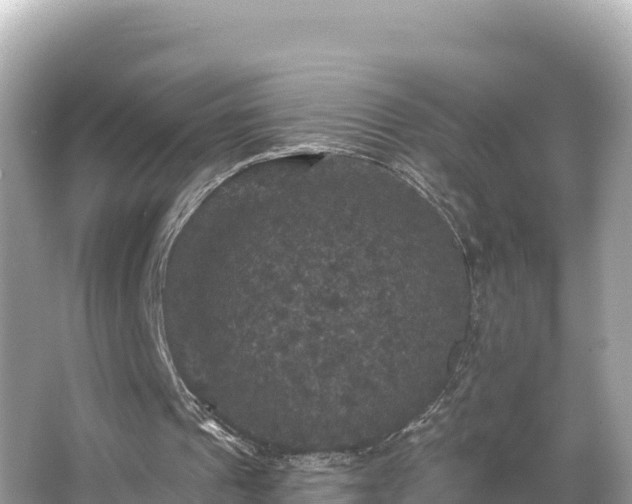 X0000066010241200603101604