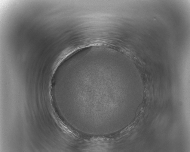 X0000066010242200603101604