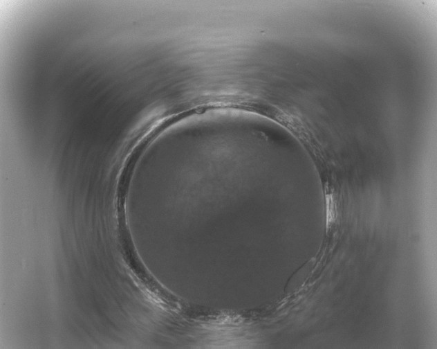 X0000066010243200603101604