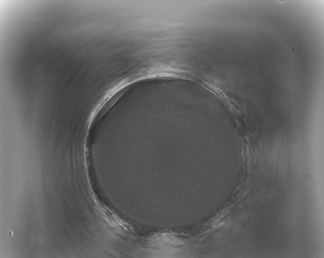 X0000066010244200603101604