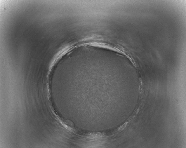 X0000066010245200603101604