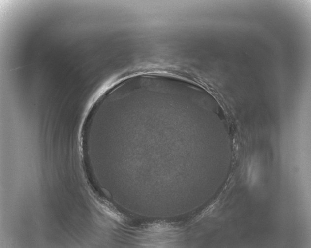 X0000066010246200603101604