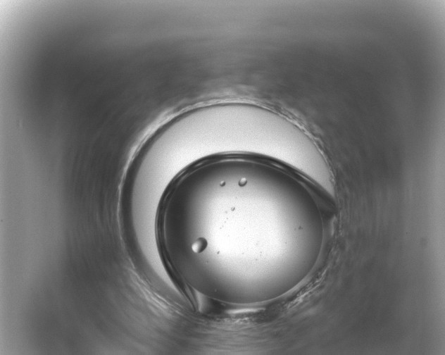 X0000066010248200603101604