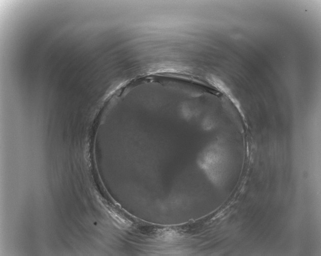 X0000066010249200603101604