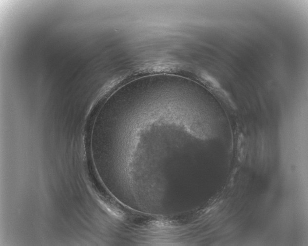 X0000066010250200603101604