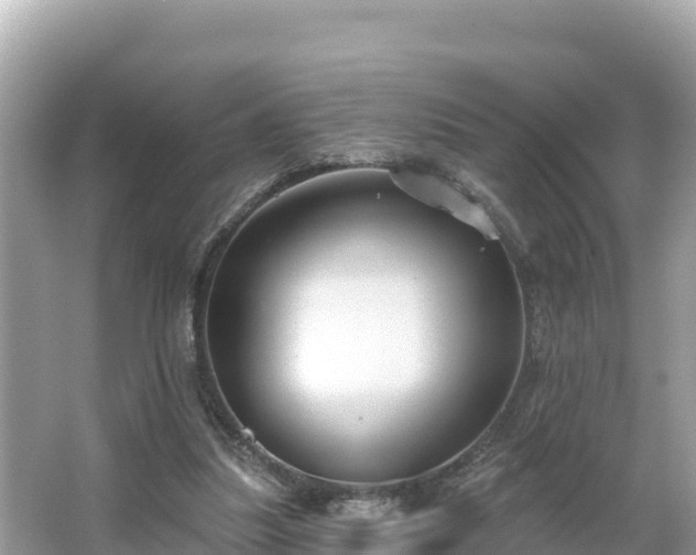 X0000066010251200603101604