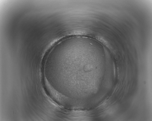 X0000066010252200603101604