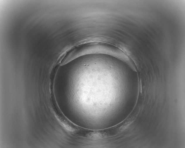 X0000066010253200603101604