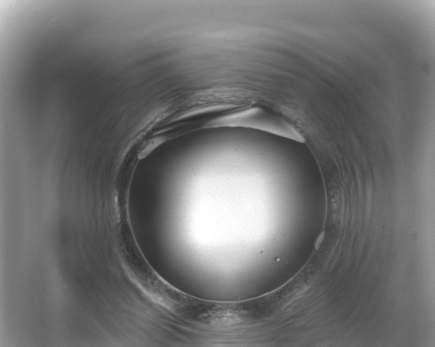 X0000066010254200603101604