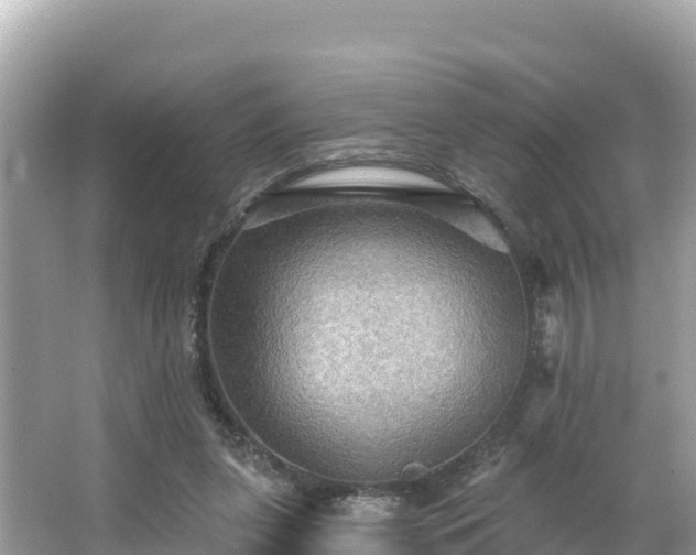 X0000066010255200603101604