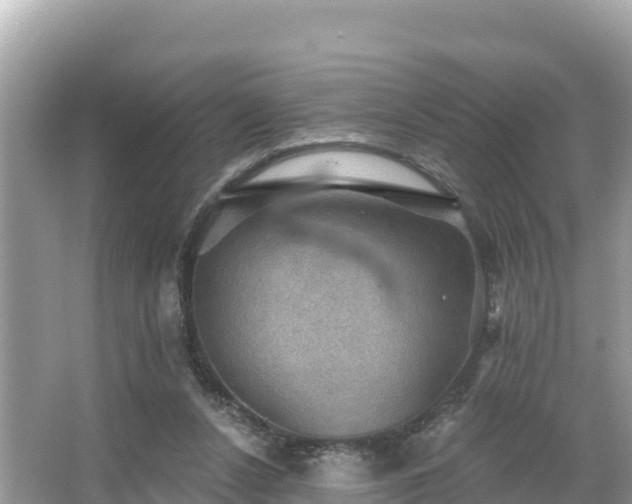 X0000066010256200603101604