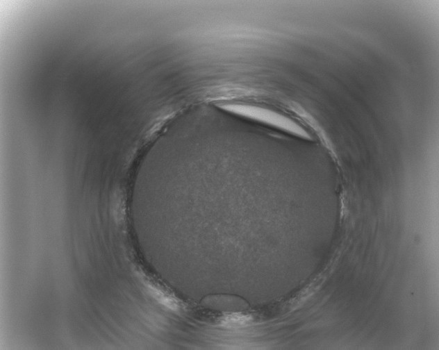 X0000066010257200603101604