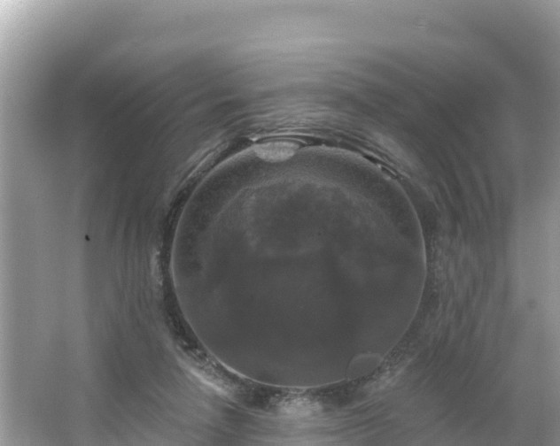 X0000066010258200603101604