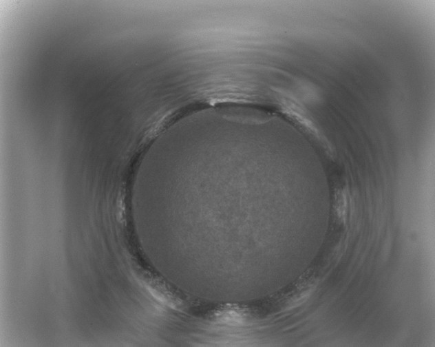 X0000066010259200603101604