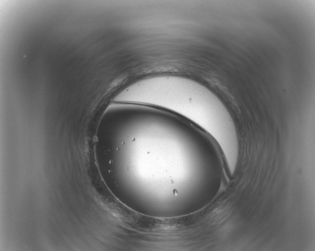 X0000066010260200603101604