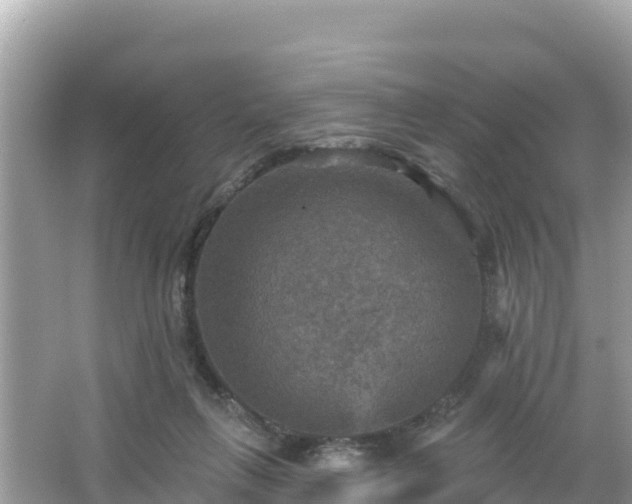 X0000066010263200603101604