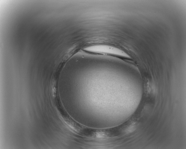 X0000066010264200603101604