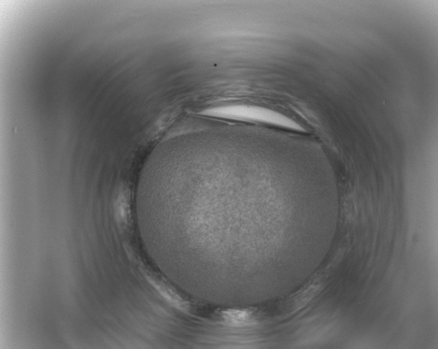 X0000066010265200603101604