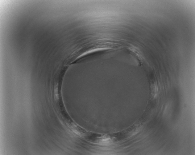 X0000066010267200603101604